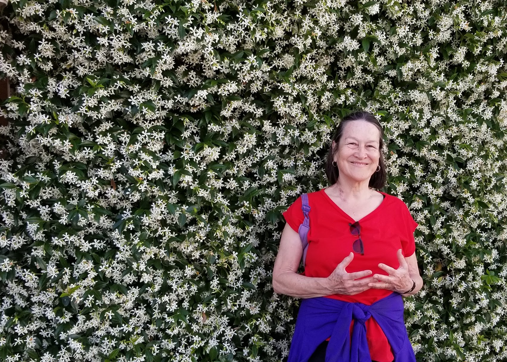 Marline enjoys a wall of jasmine flowers.