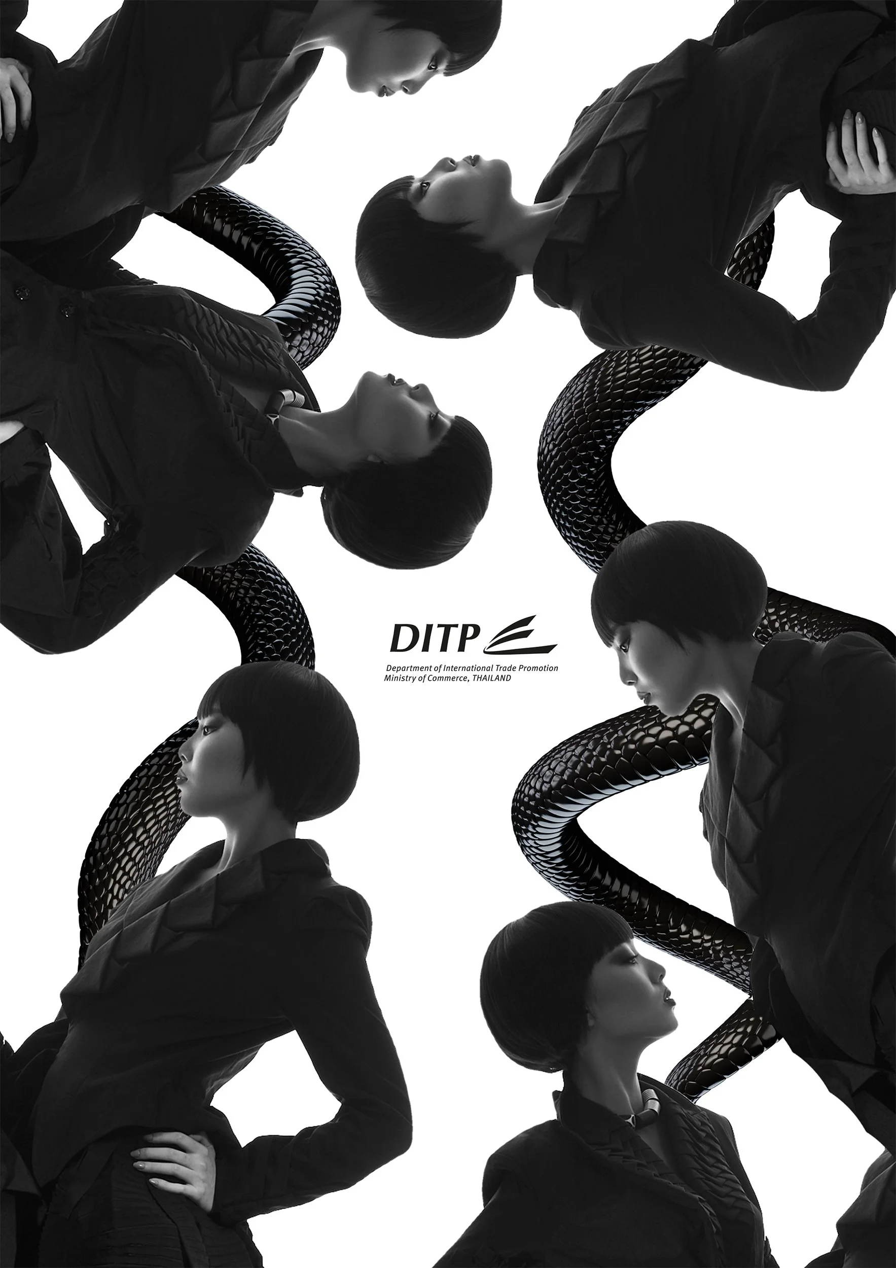 DIPT fadshion _SQ.jpg