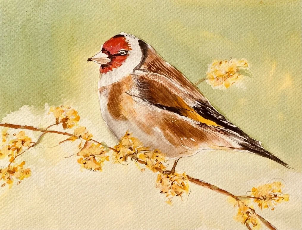Goldfinch