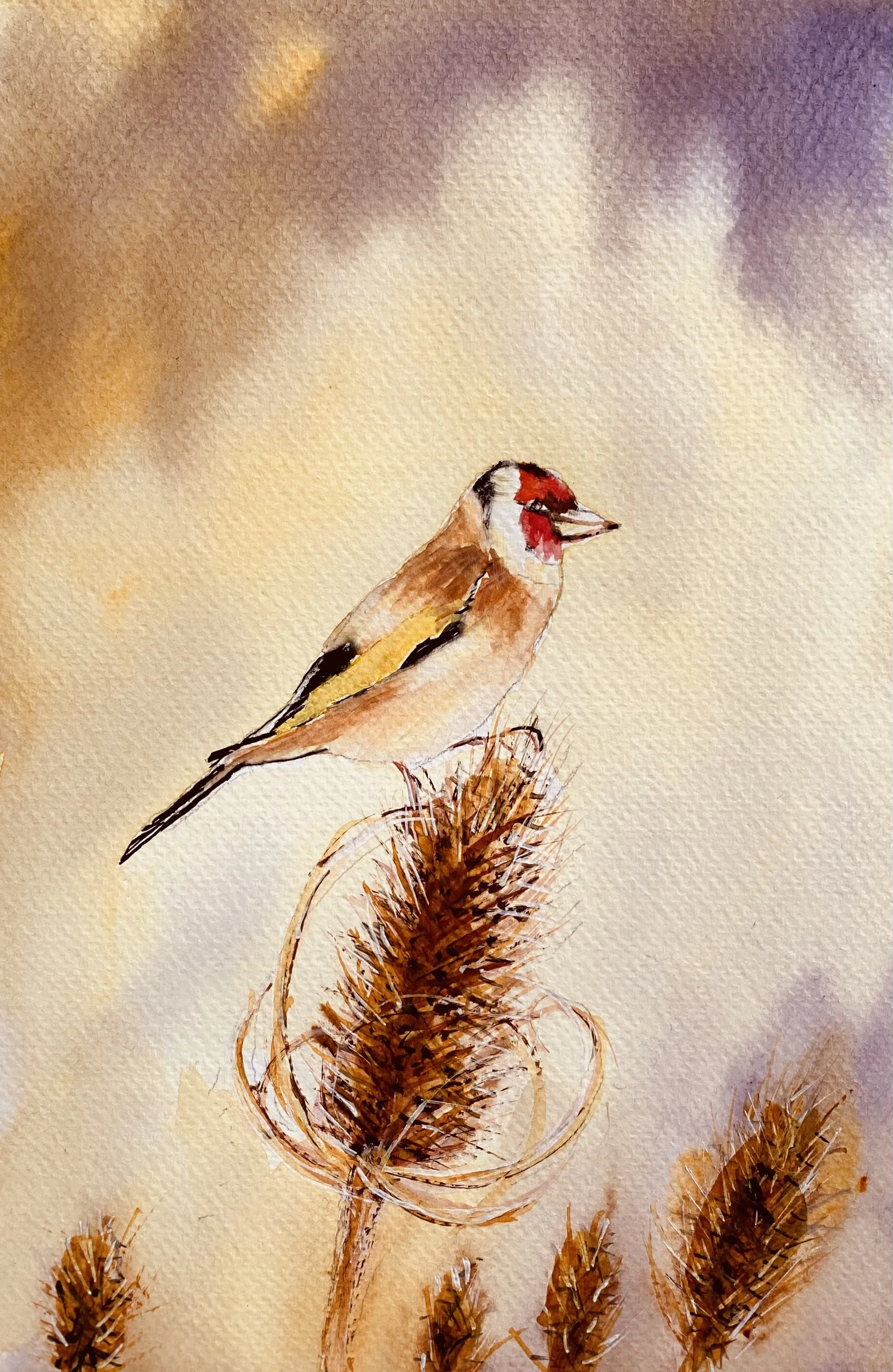 Goldfinch and Teasel