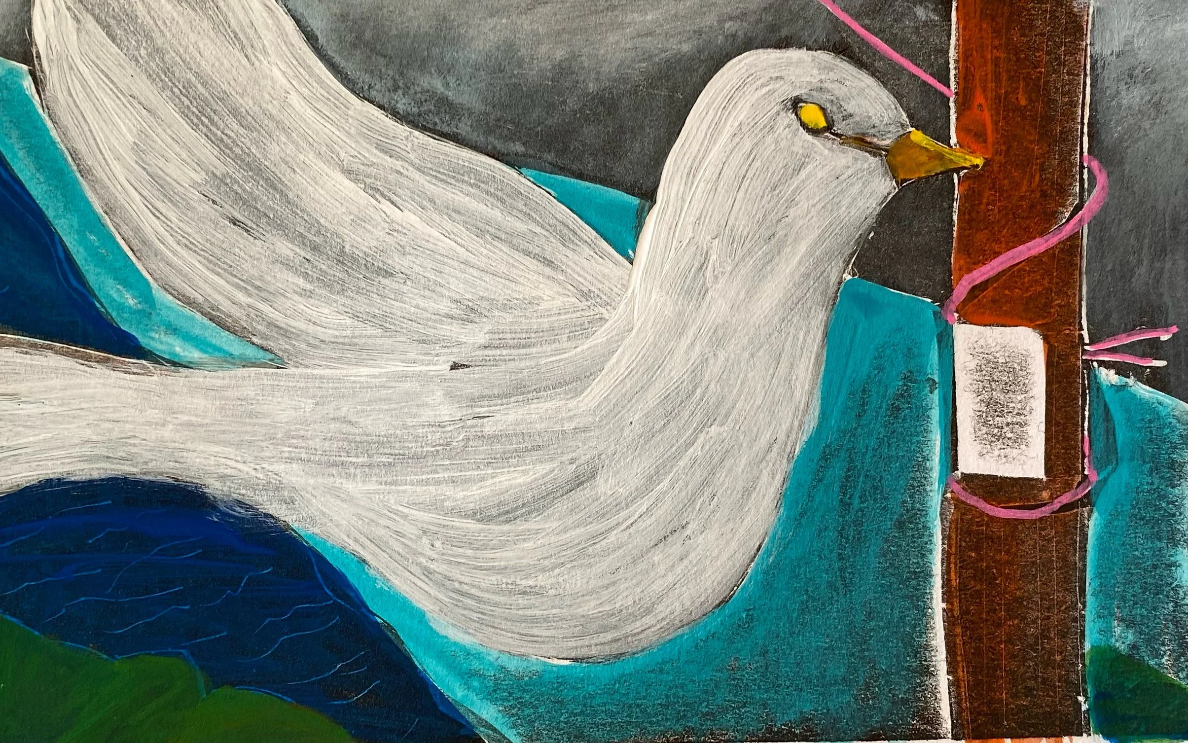White Dove 