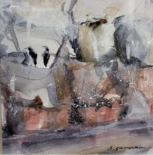 Farne Islands Northumberland