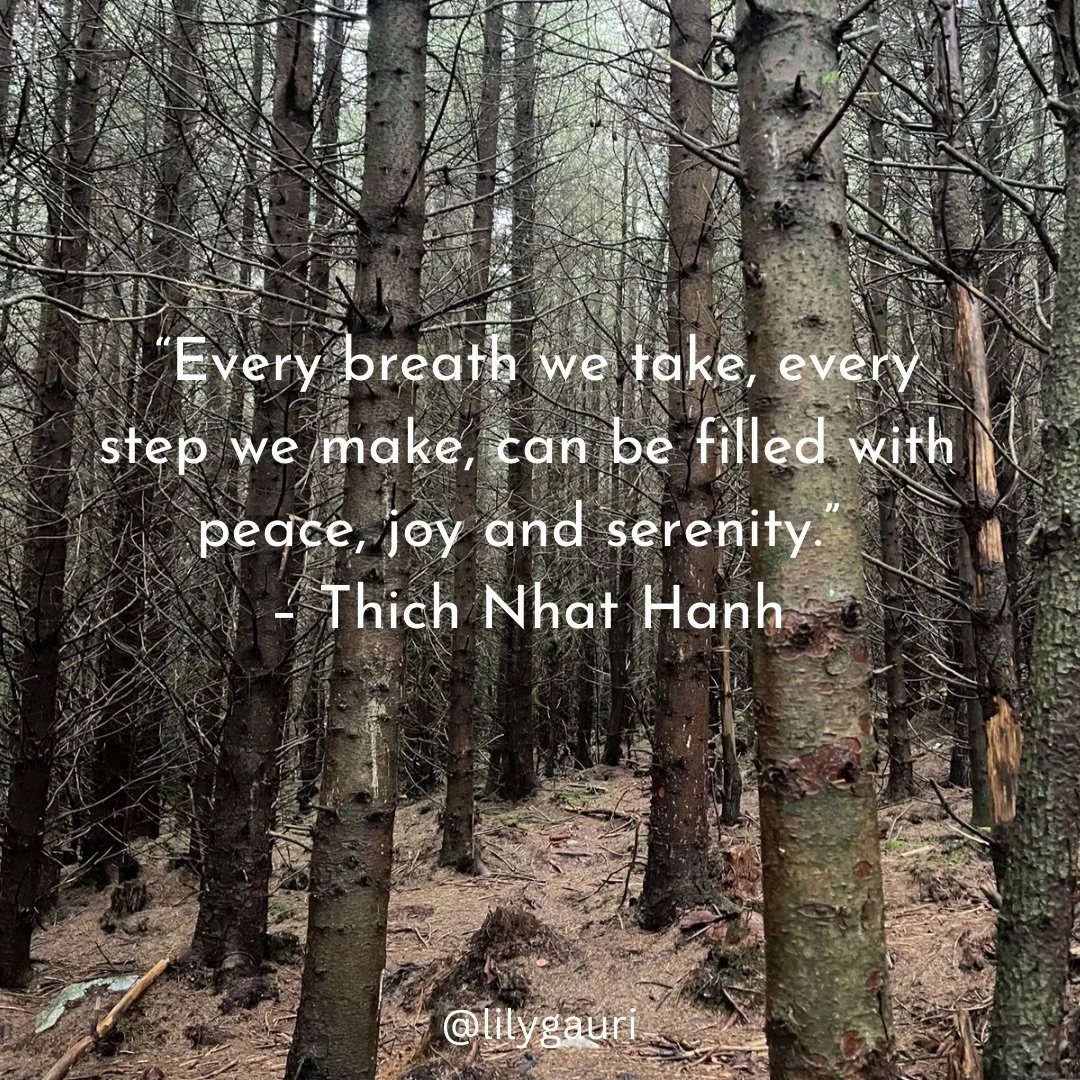 Nidra Healing- Step into Serenity