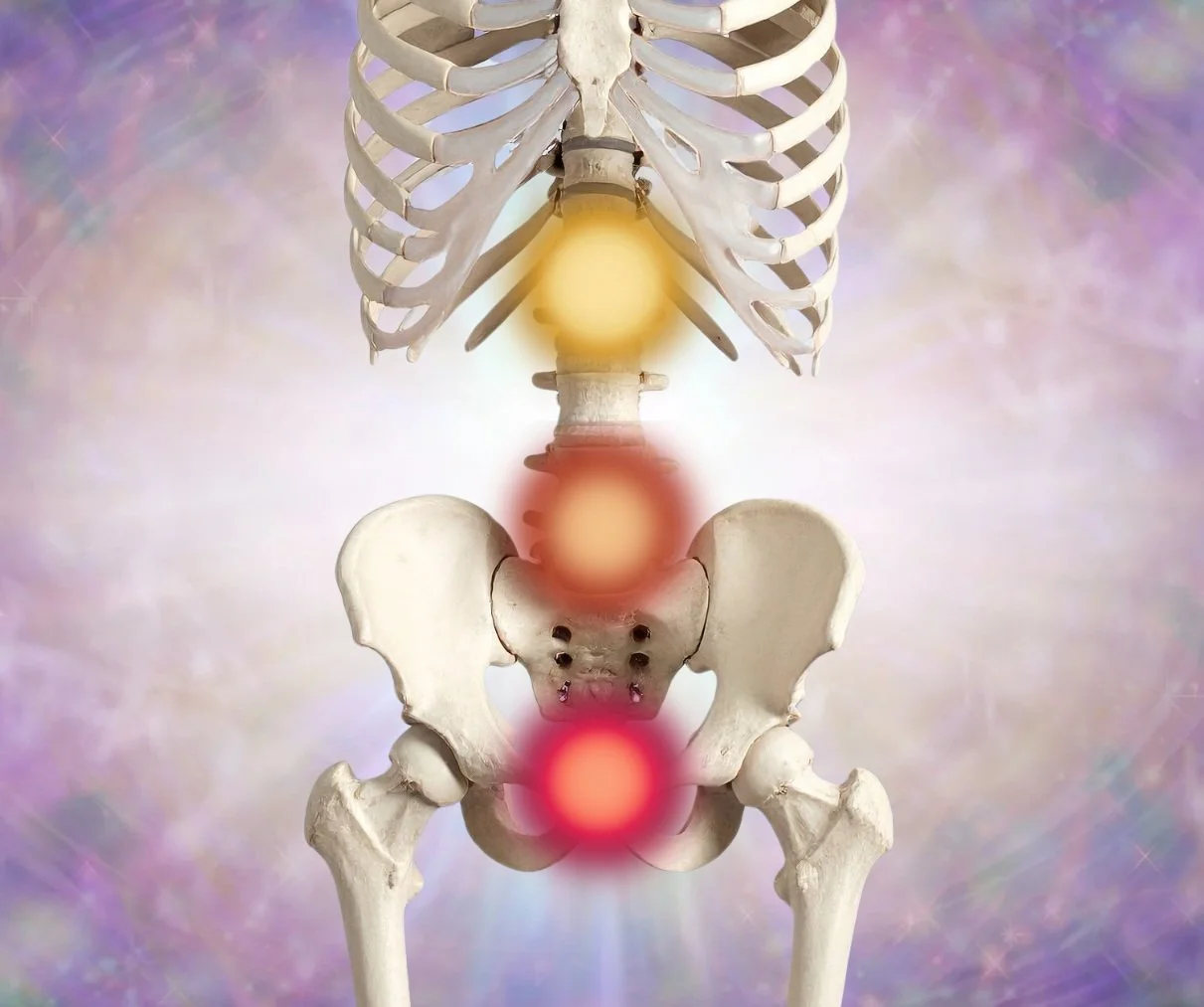 Sacred Psoas Workshop