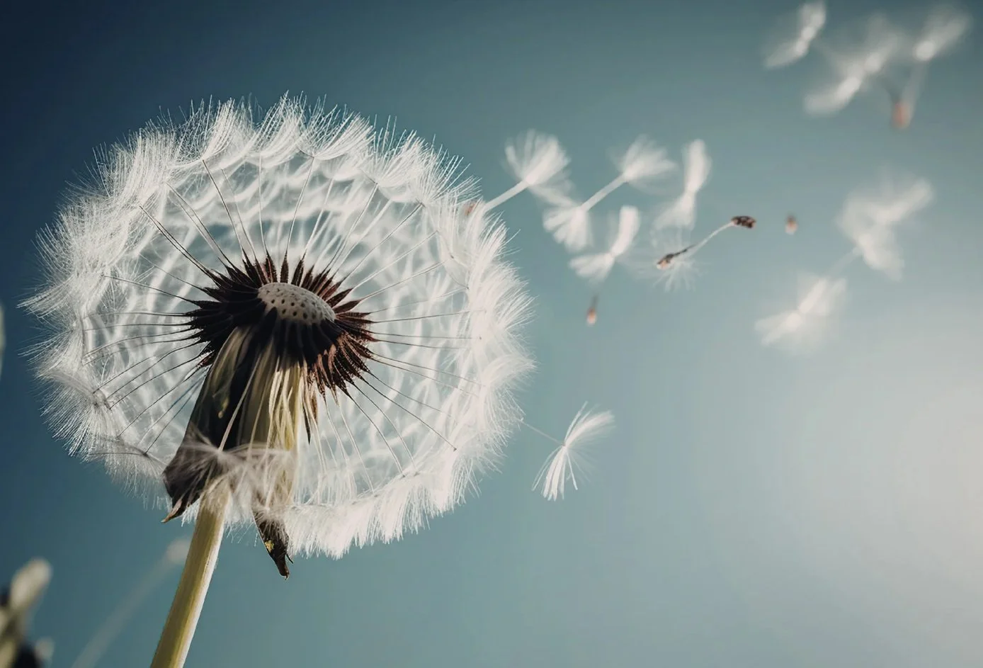 Yoga Nidra: 'Releasing Negative Thoughts'