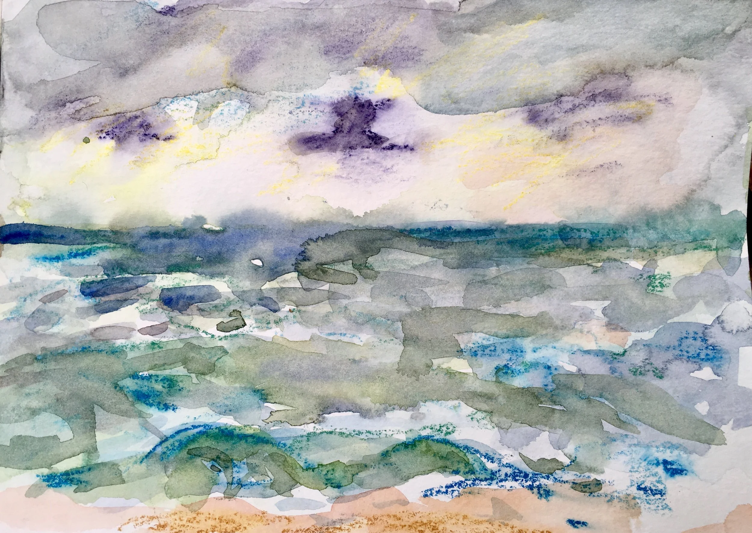 Bird over the sea.JPG