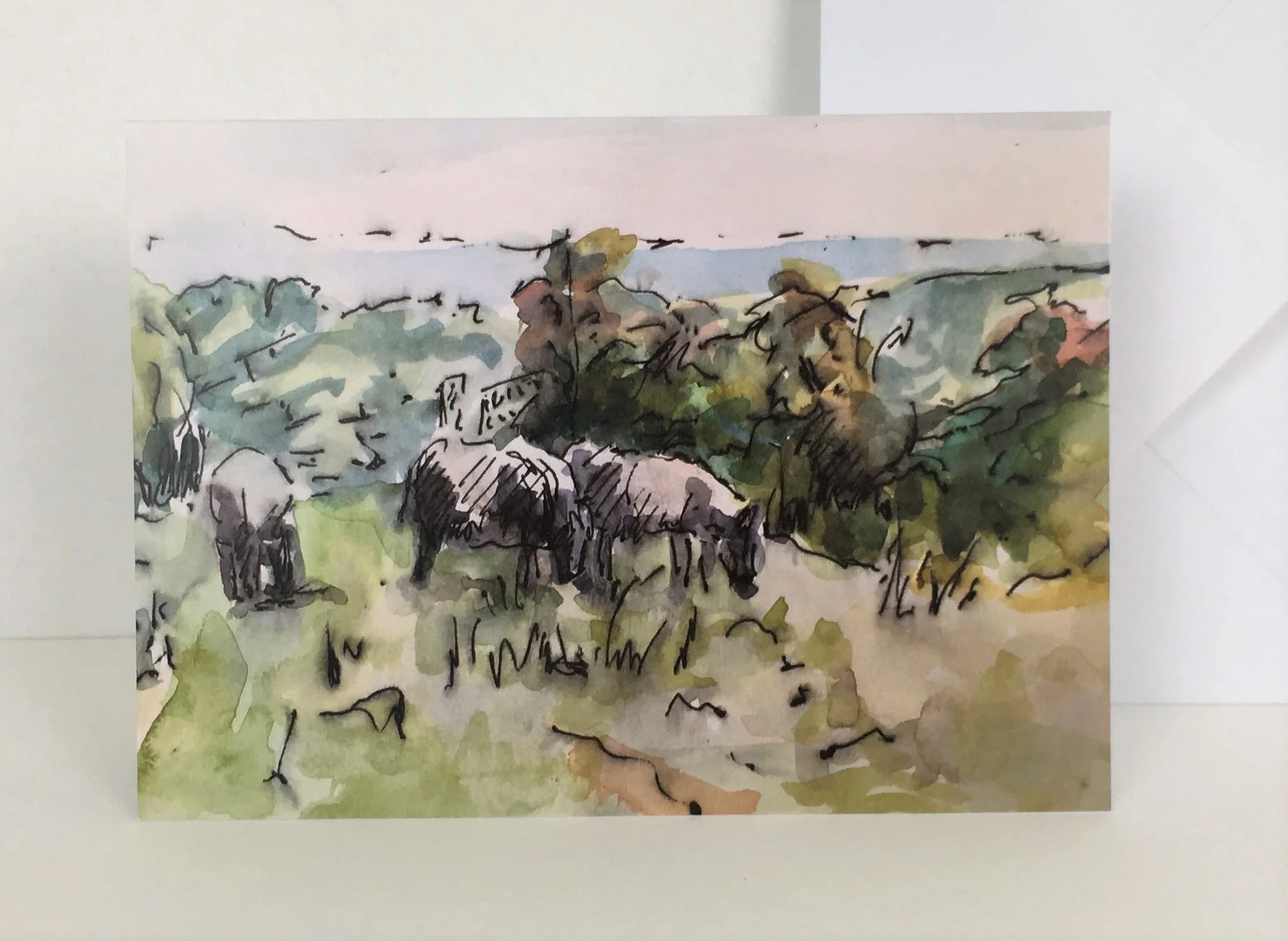 Cows on Ranmore Common.JPG