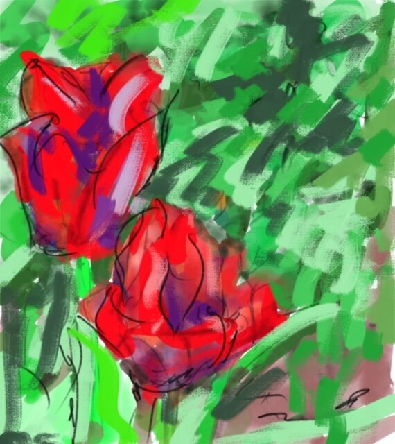 Tulips