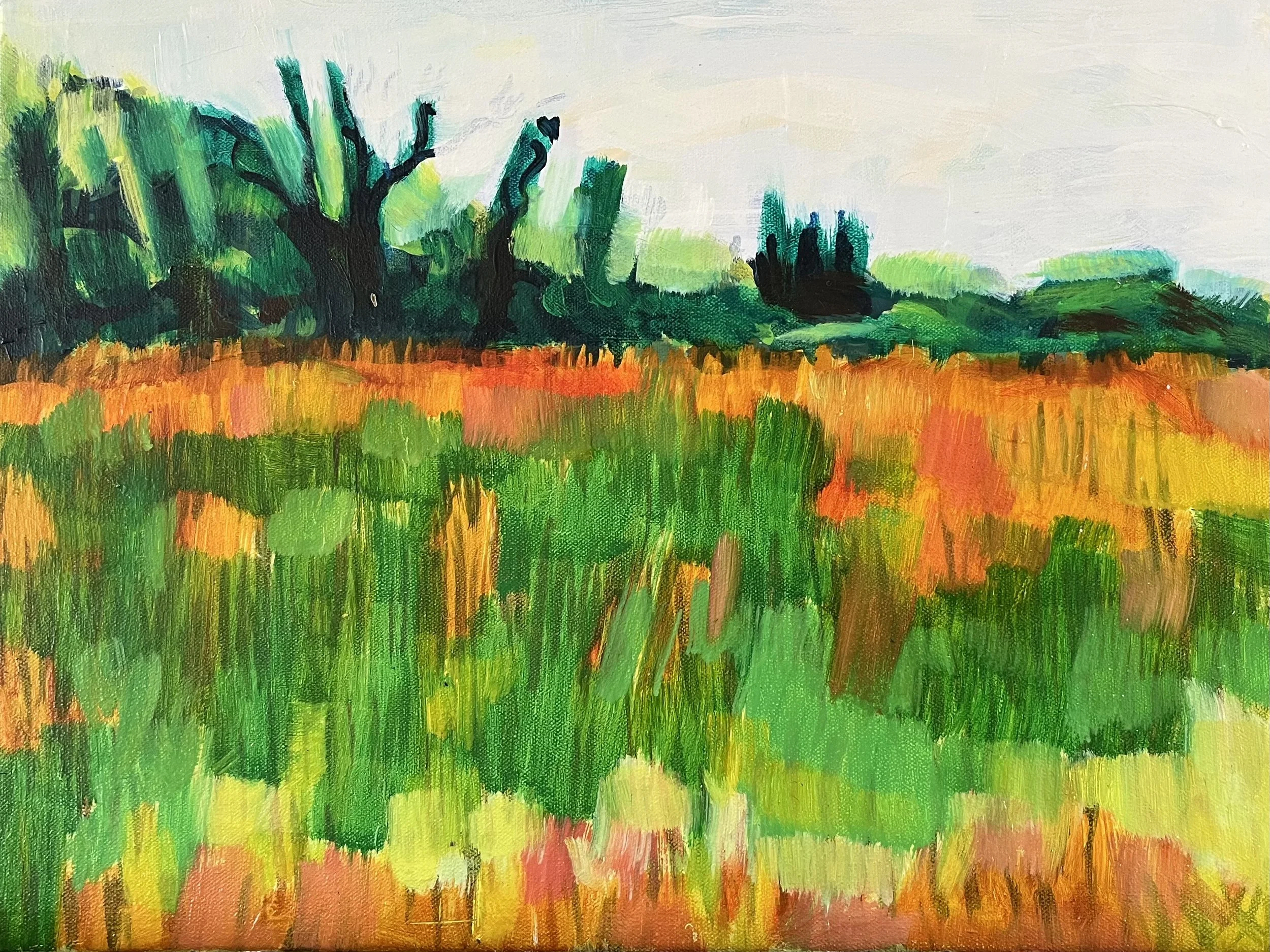 Shere Meadow