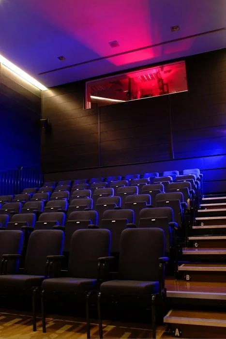 baltic cinema image.jpg