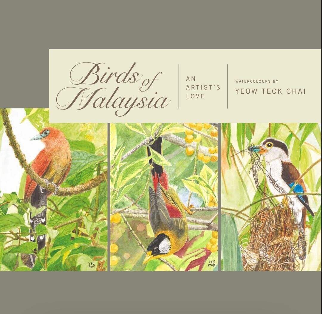 birds+of+malaysia.jpg
