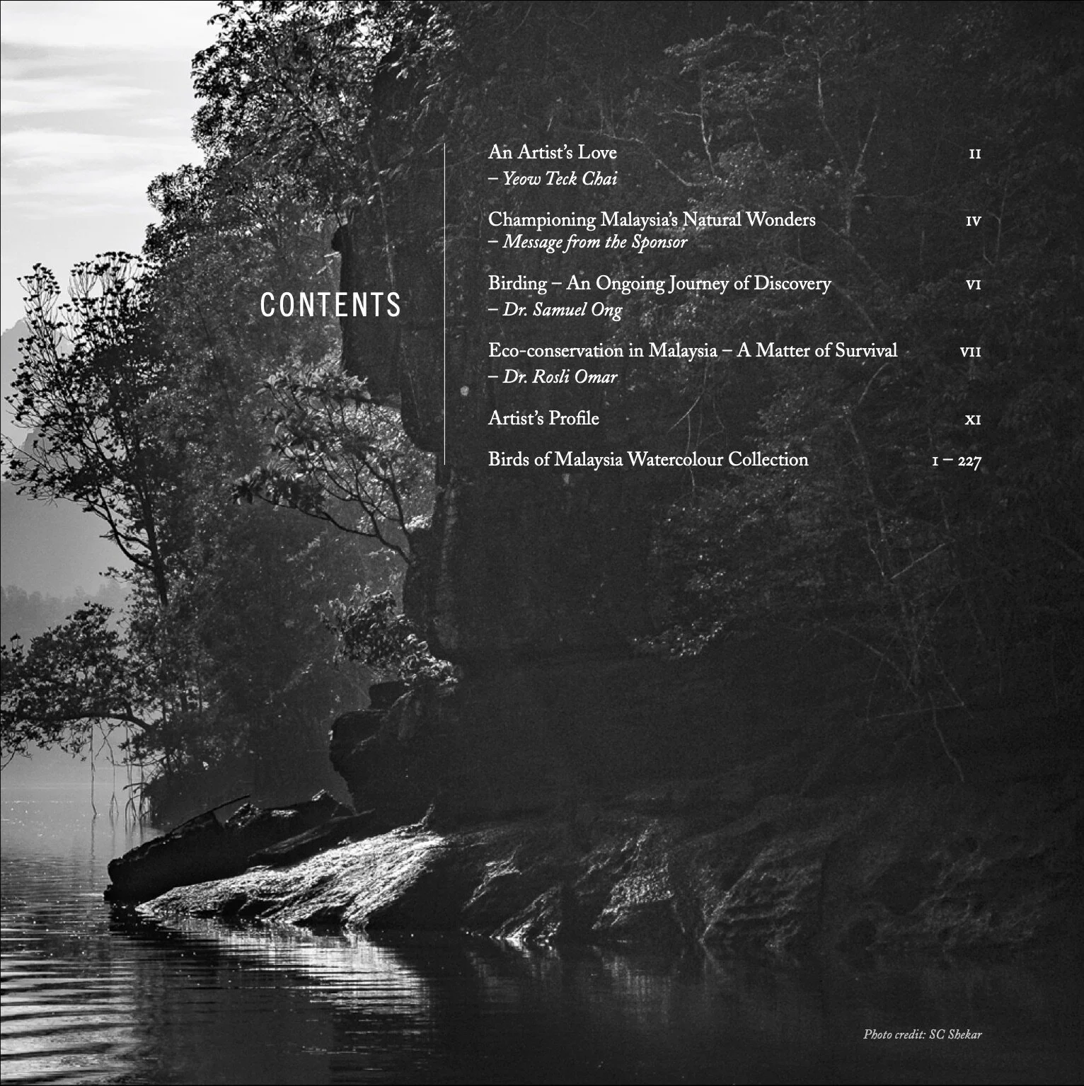 Birds of Malaysia-1 (cropped).jpeg