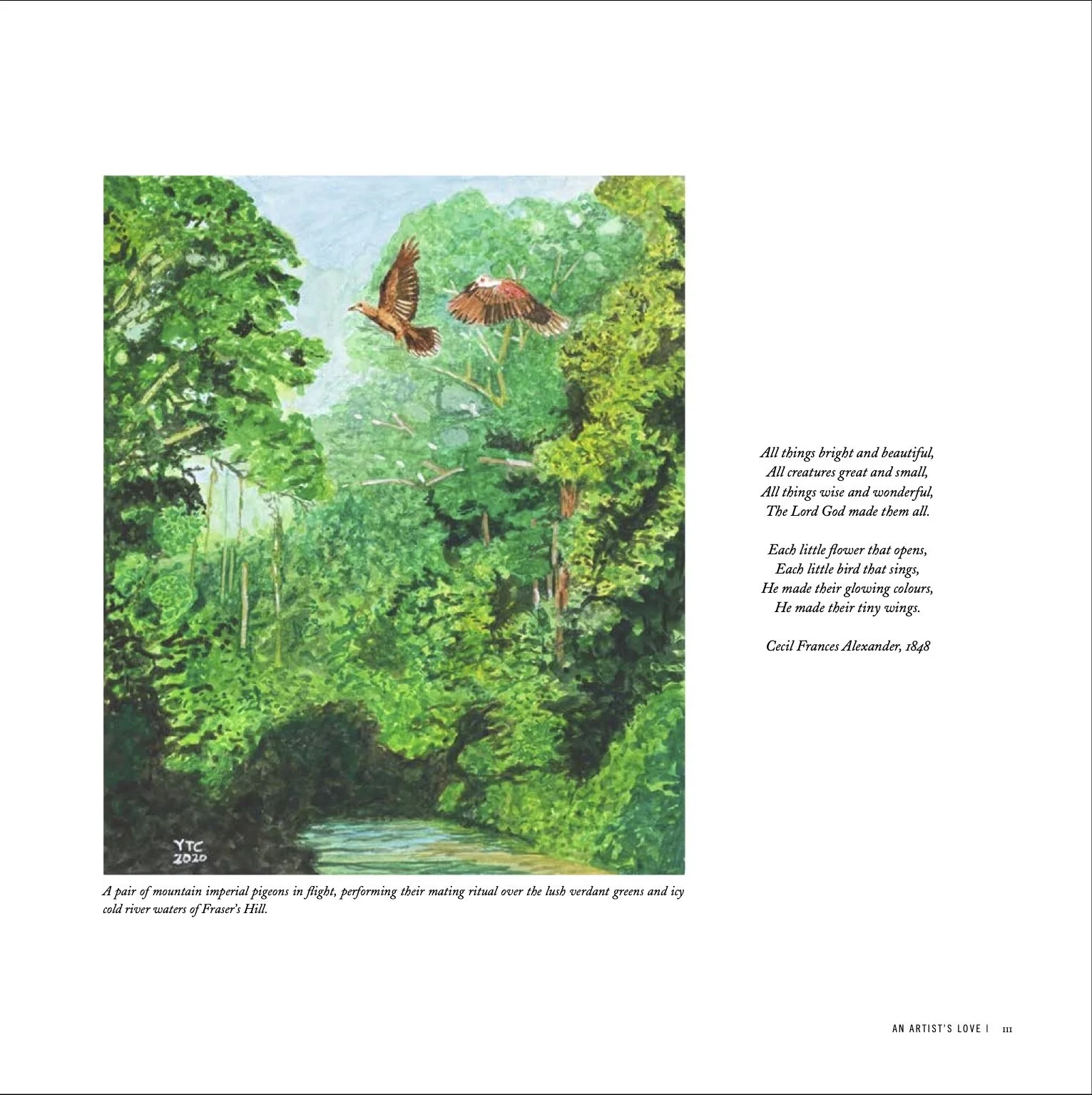 Birds of Malaysia-2b.jpeg