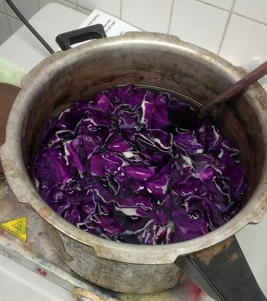 Cabbage Dyeing