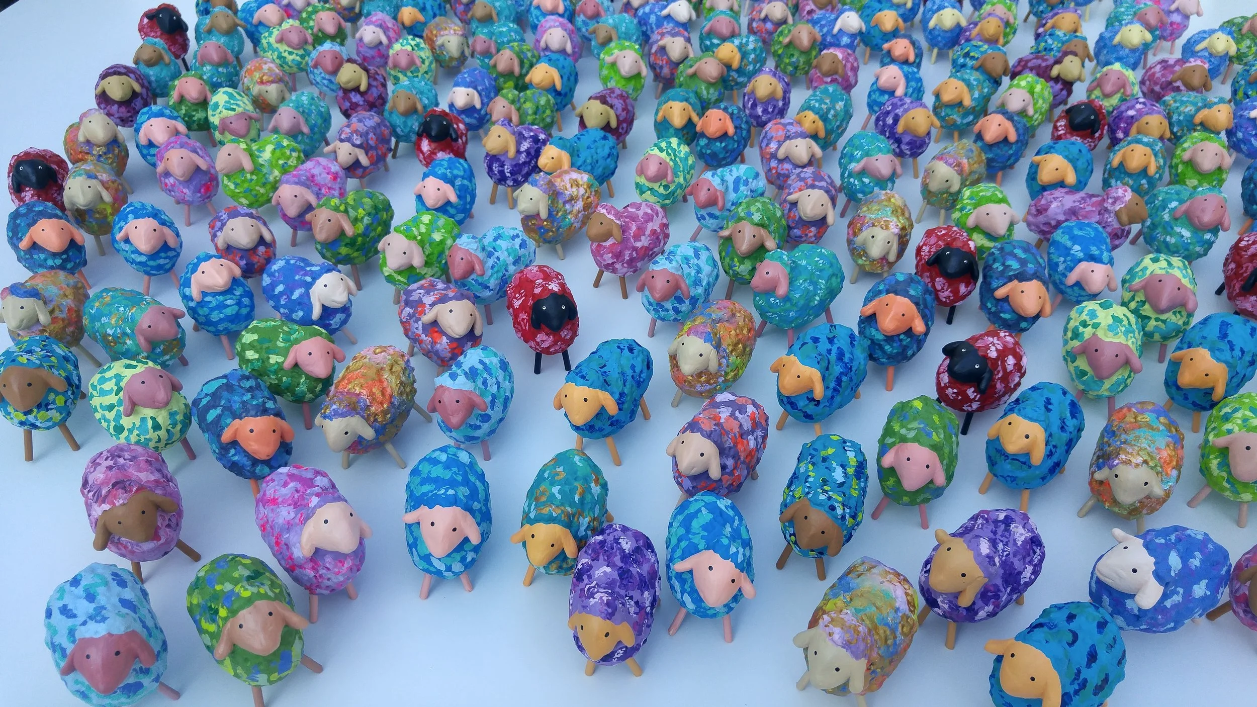 כבשים צילום מגבוה.jpg