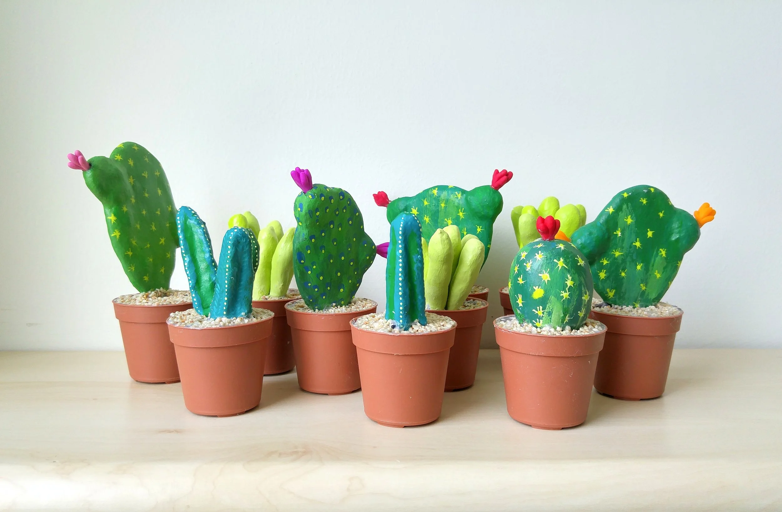 קקטוסים 1.jpg