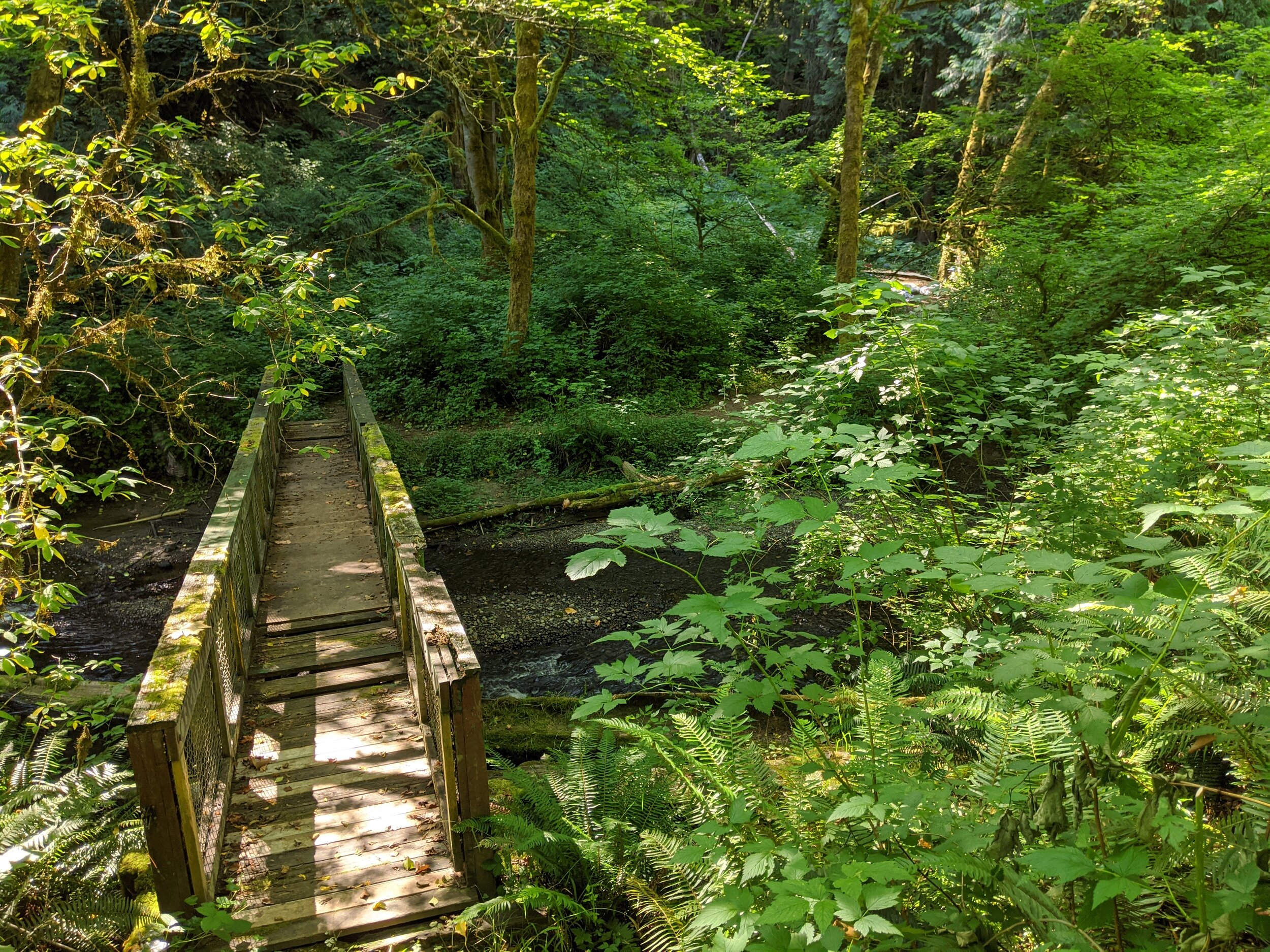 Why all the trash &amp; why do we pick it up?