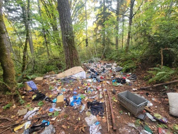 November 13, 2021: Markwick Clear Creek Trail Cleanup