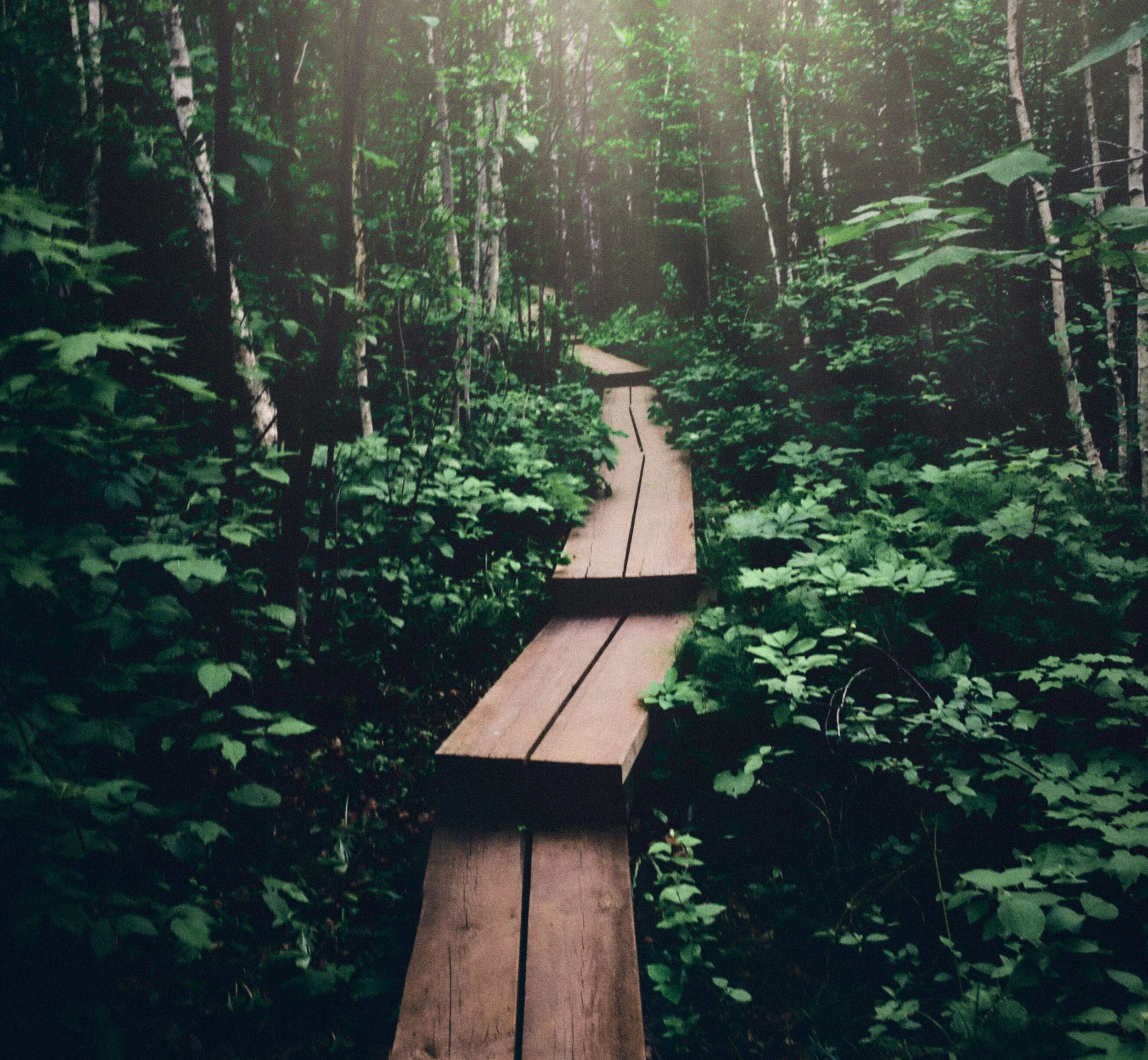 How to “Spring Forward with Learning”