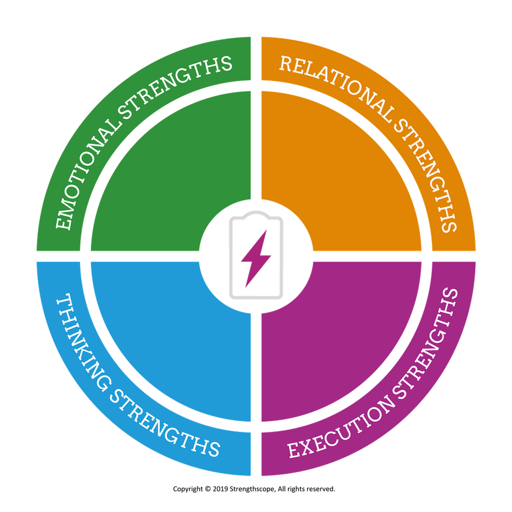 The circular Strngthscope Chart divided into four coloured segments representing different strengths: emotional strengths in green, relational strengths in orange, thinking strengths in blue, and execution strengths in purple