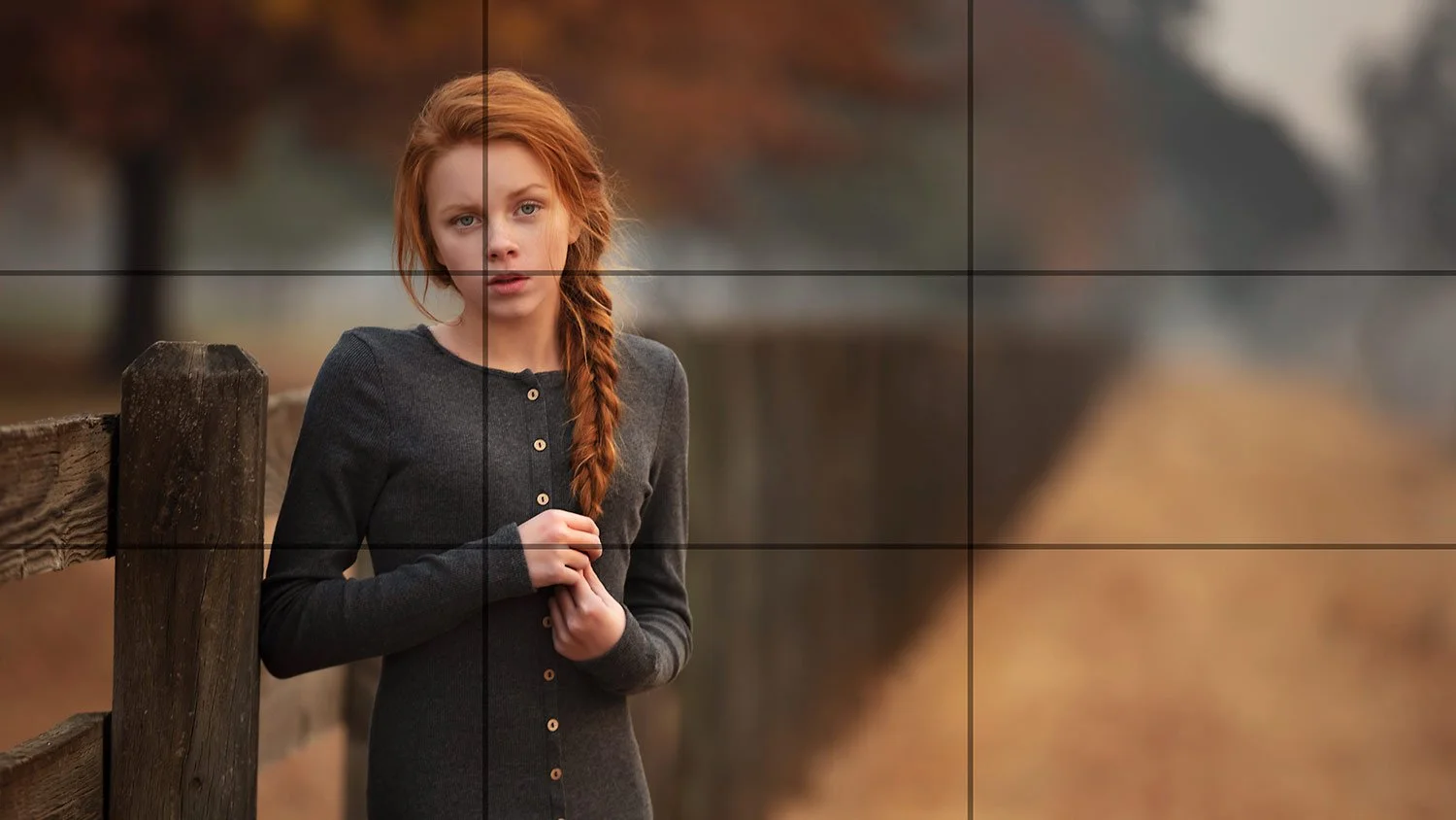 #3–The Golden Ratio