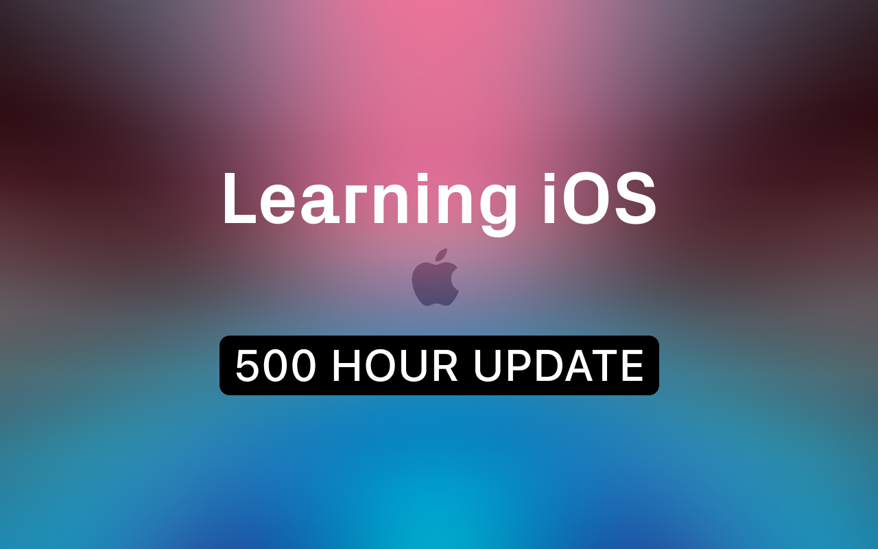 500hr Update: Learning programming with no experience