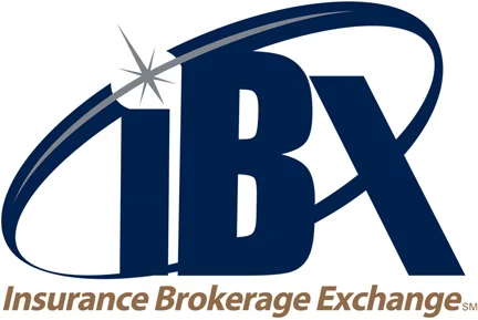 IBXfinal.jpg