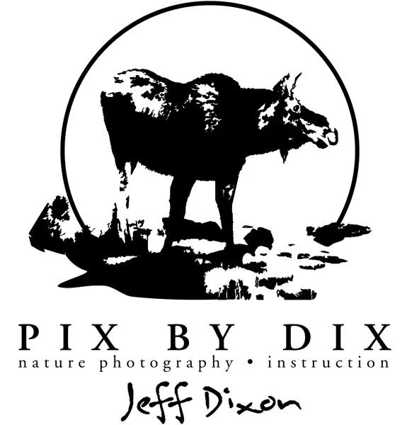 dix.jpg