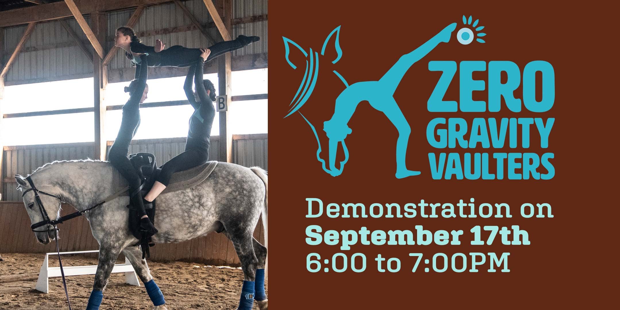 ZERO GRAVITY VAULTERS Demonstration — Stable Relations presents