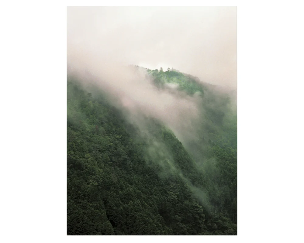 Fog Print $17.50 - $30.00