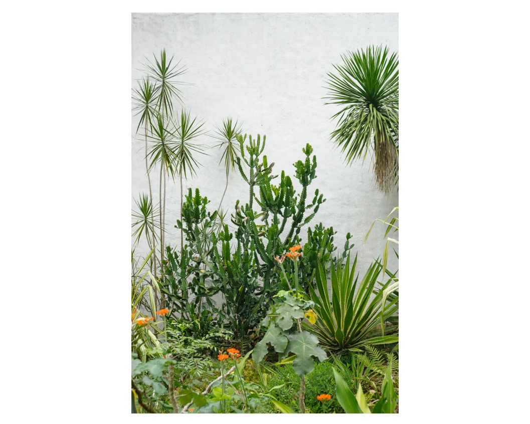 Antipolo Print $17.50 - $30.00