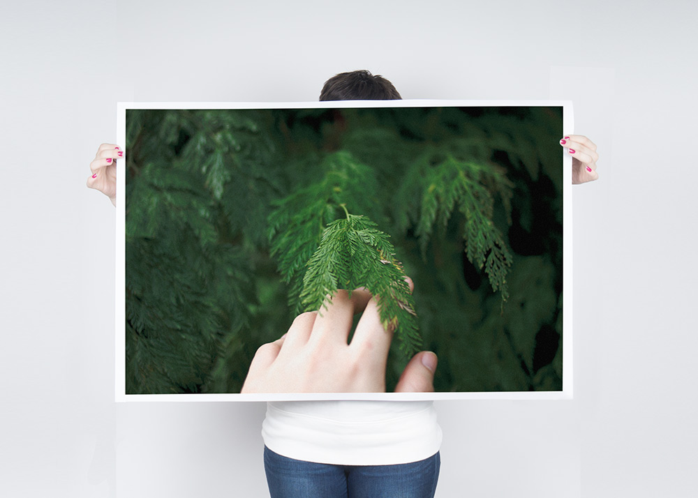 Color Fern Hand Poster $32.50 - $40.00