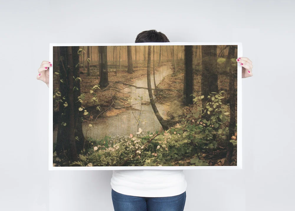 Color Woods Poster $32.50 - $42.50