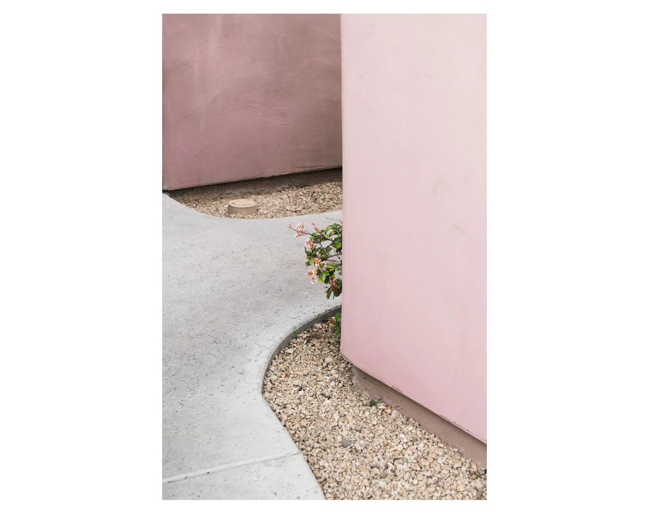 FlowerPeek.jpg