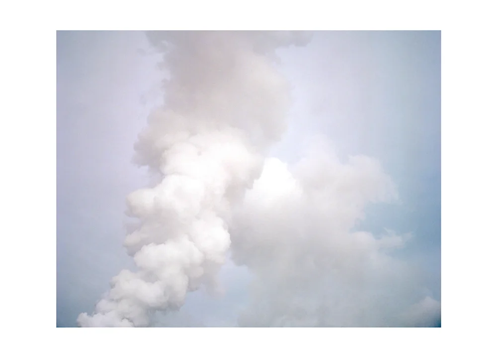 Steam Print $17.50 - $22.50