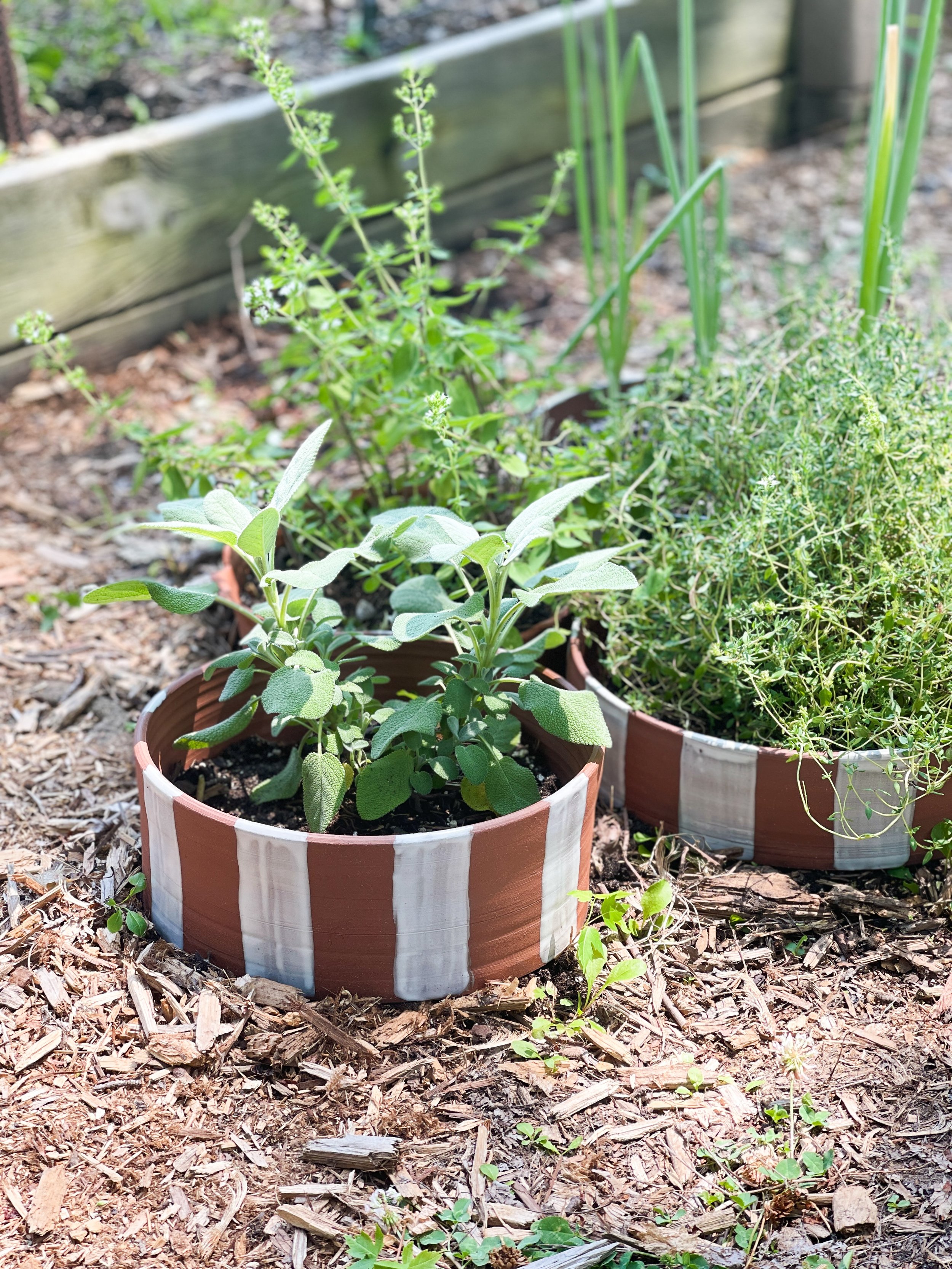 RaisedBed_Garden.jpg