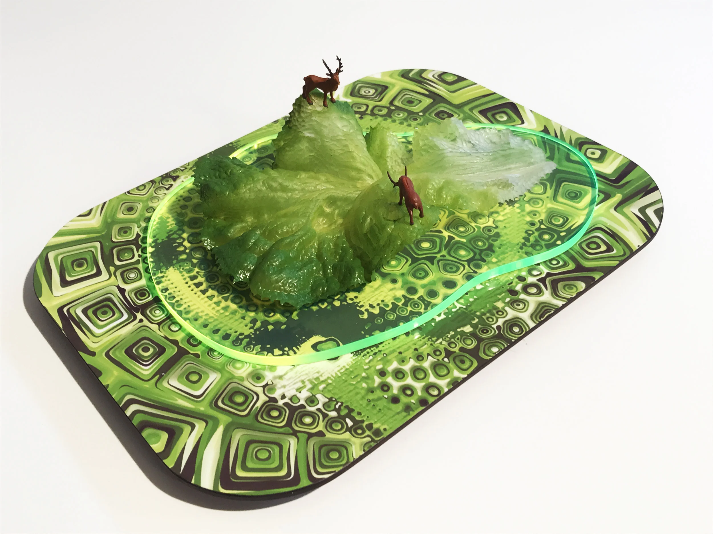 #standoffatromainevalley