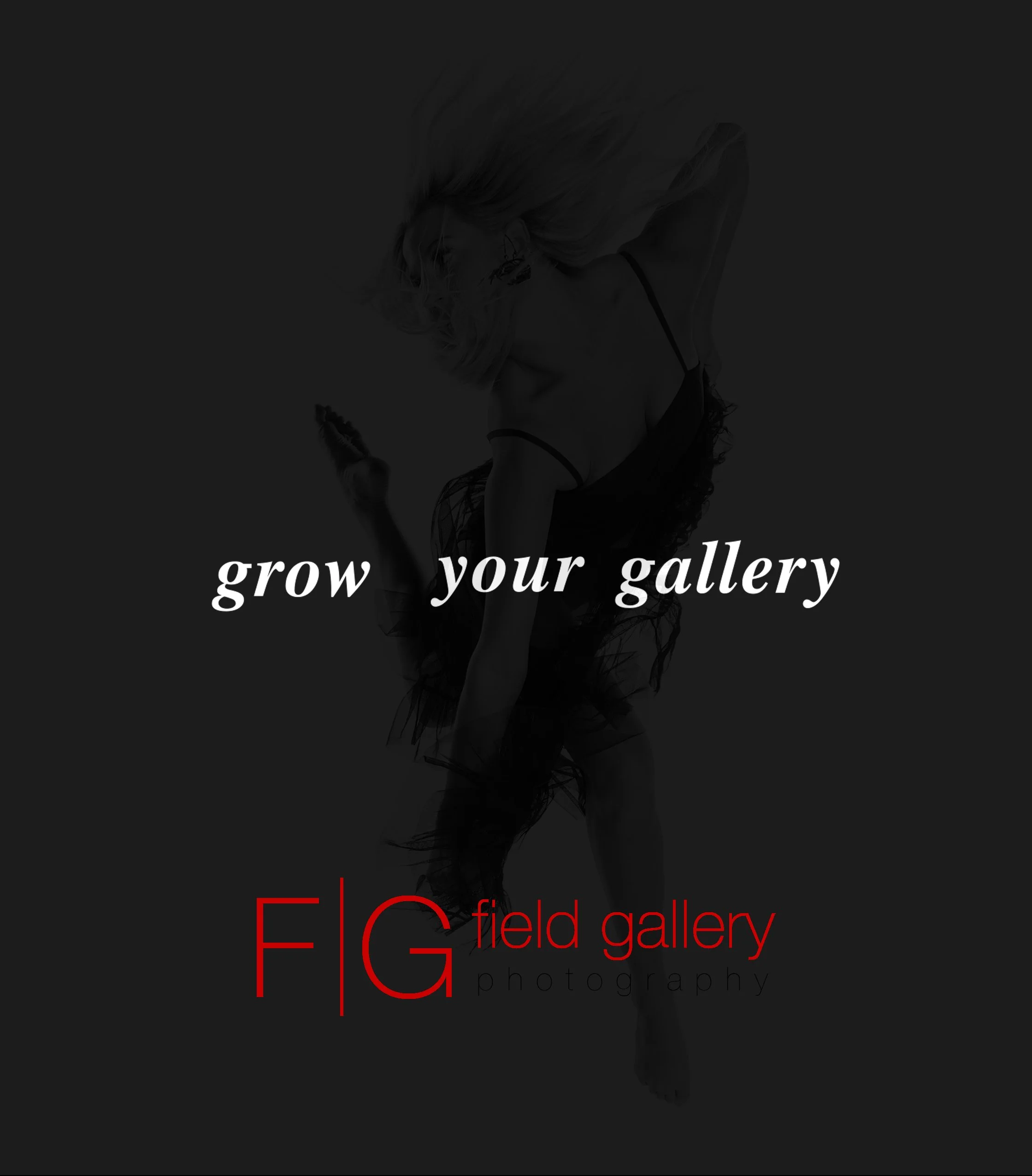 The Field Gallery
