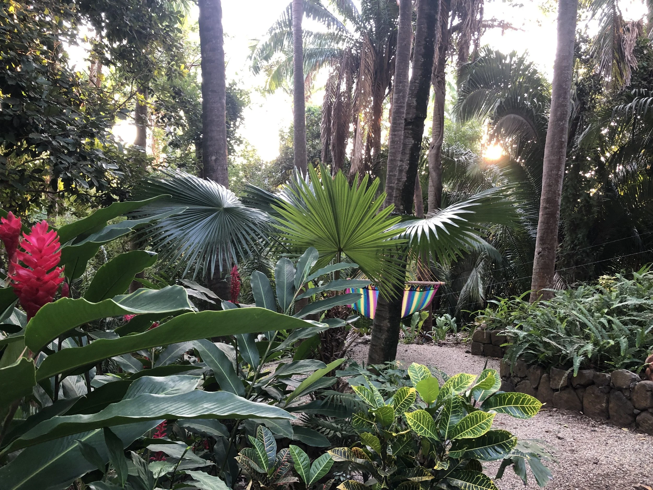 Mexico! A private retreat; January 2023