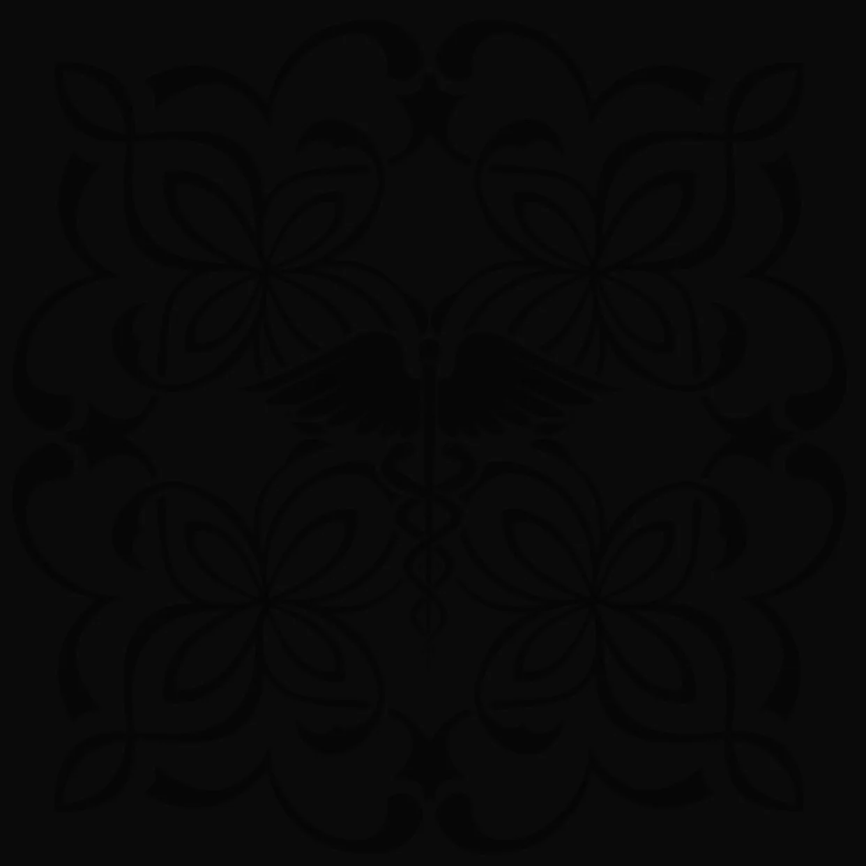 black background.JPG