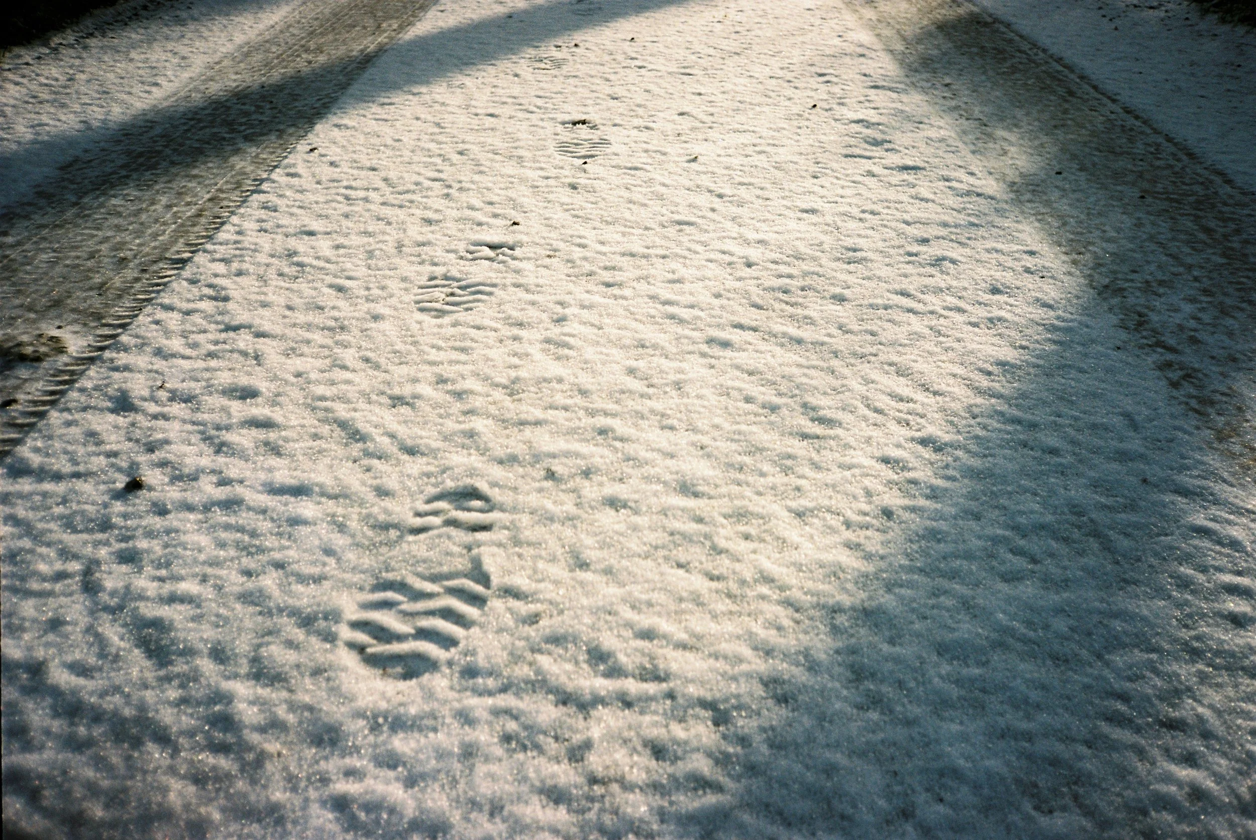 000018 (1).JPG