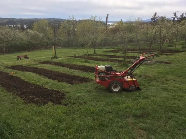 The Barreto Rear Tine Rototiller is the only machine for the job.