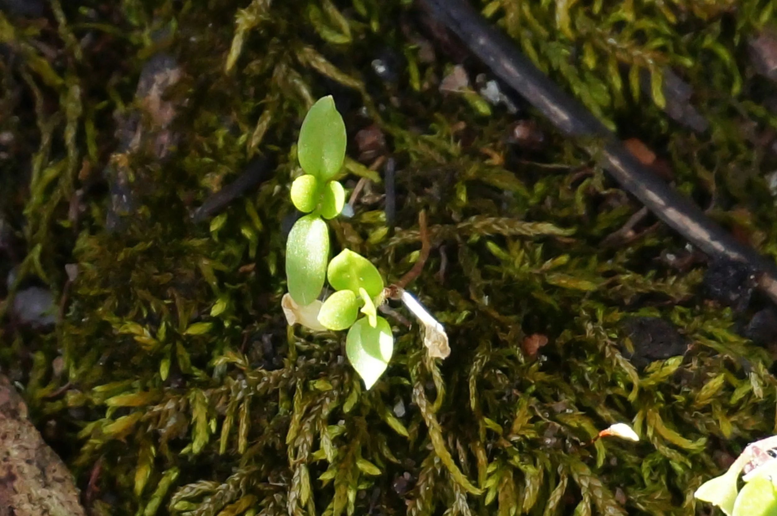 Letting the Thaw Arrive in its Own Time