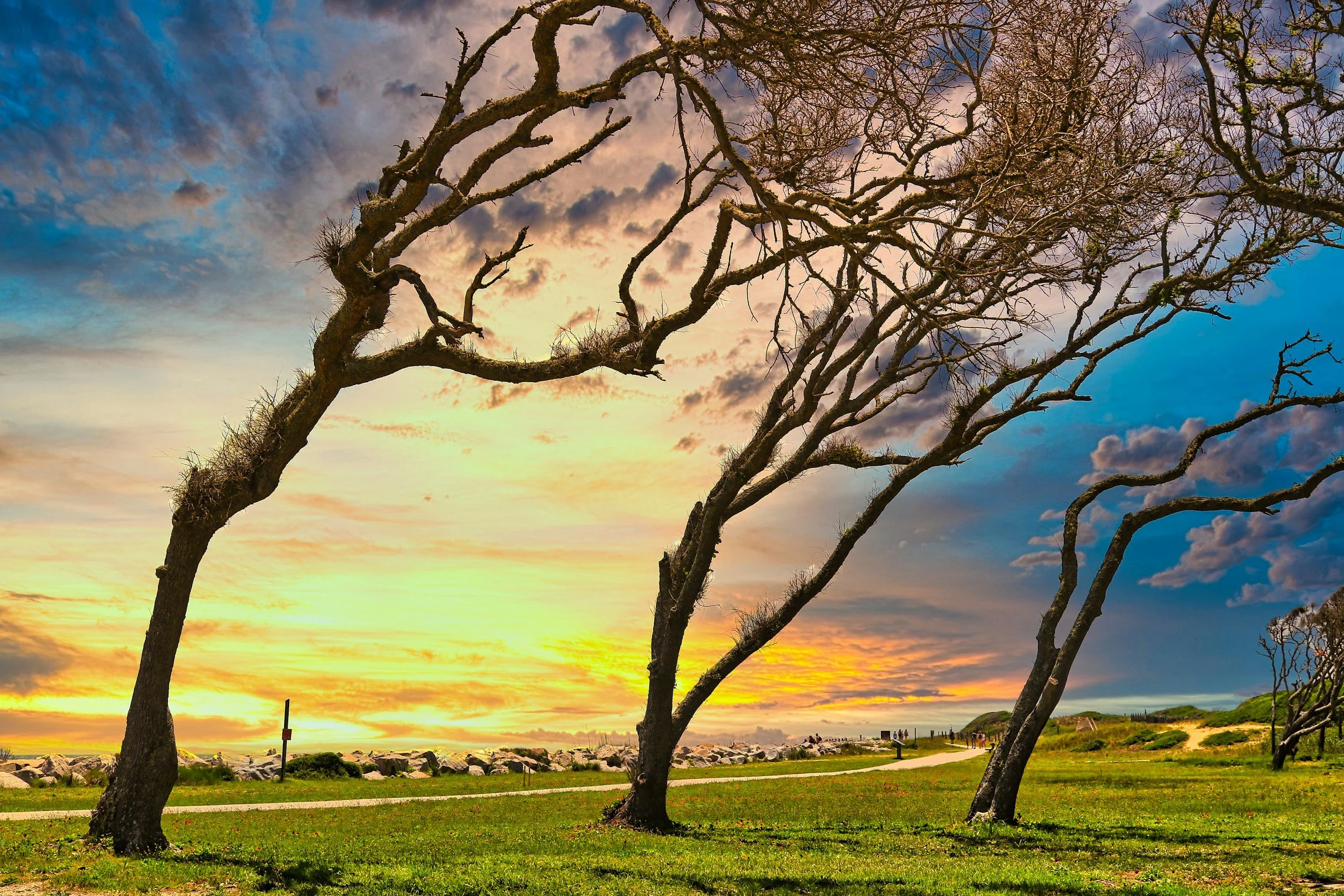 March Week 2: Habits Move, They Don’t Break