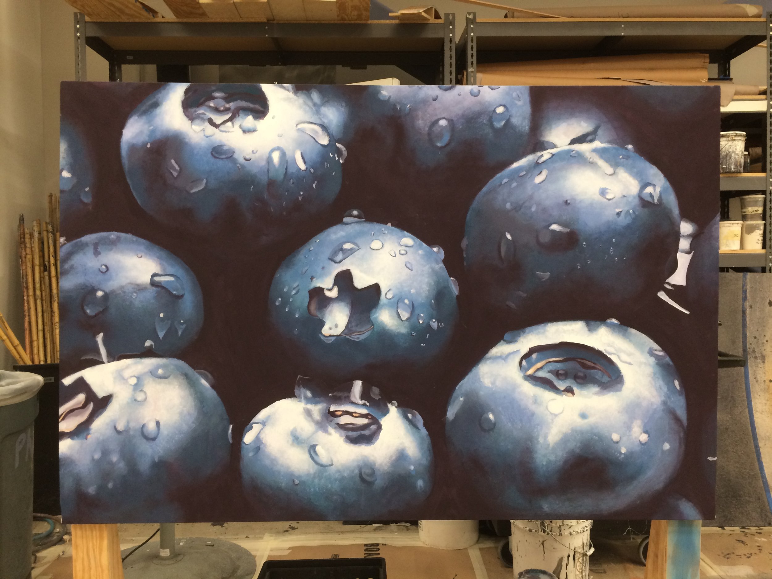  Reflective project: blueberries, Boston University, 2018. 4’ by 6’ soft cover muslin flat.  