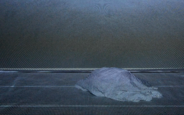 SHEET.gif