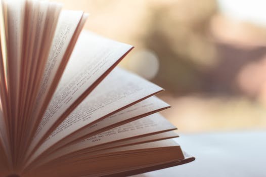 book image.jpeg