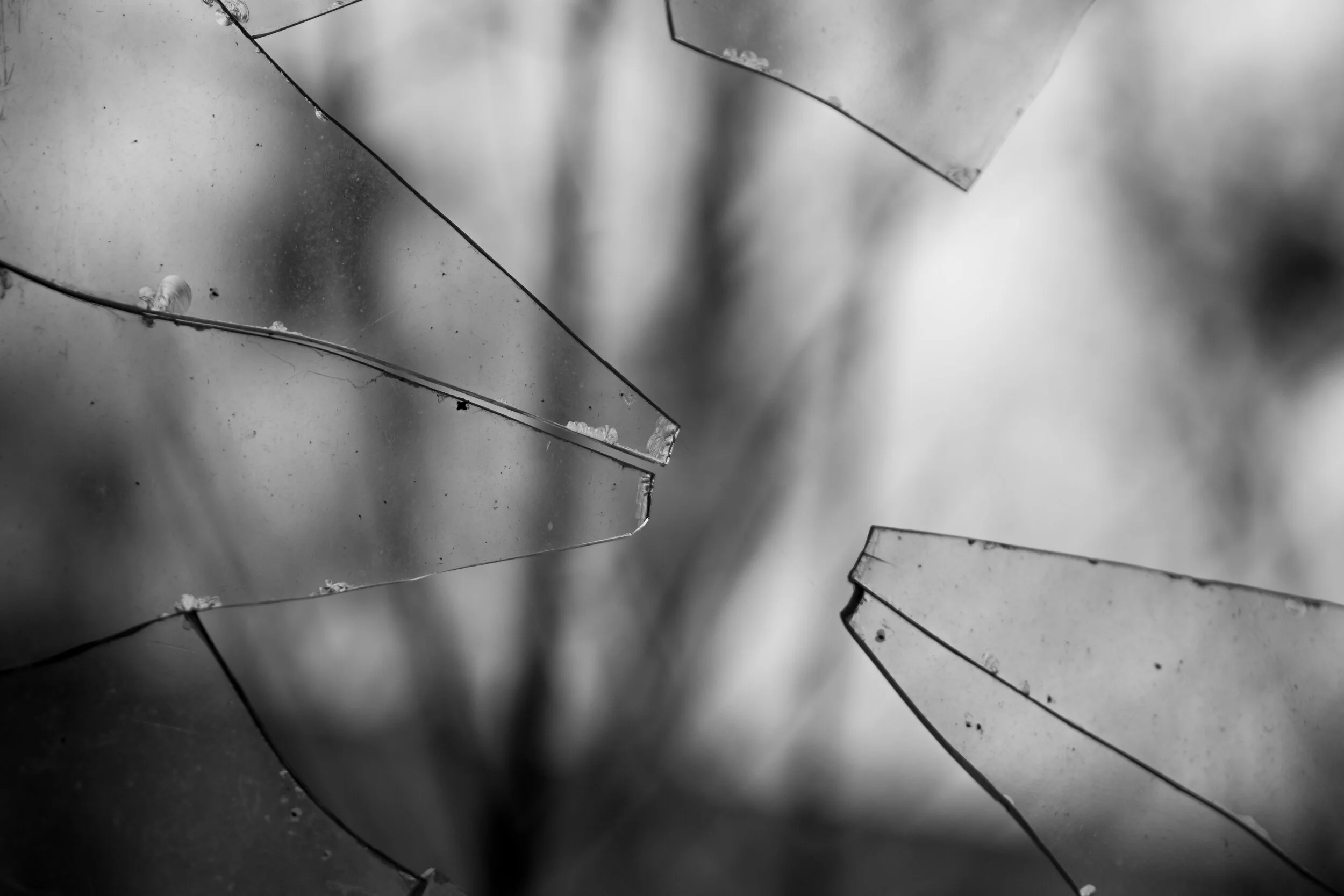 ARK_9572 - ArakadiaPhotography.jpg