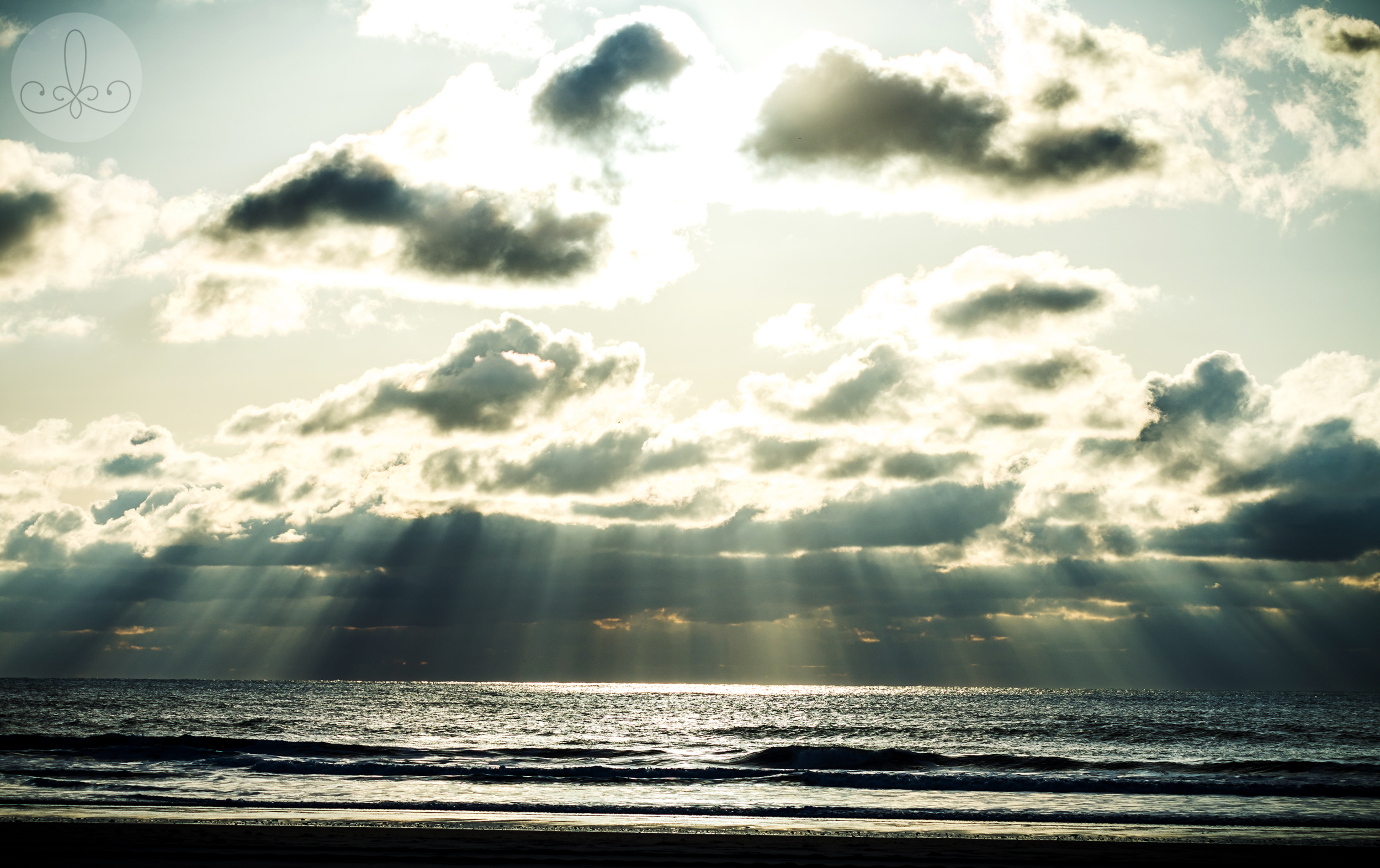 ARK_1611 - ArkadiaPhotography.png