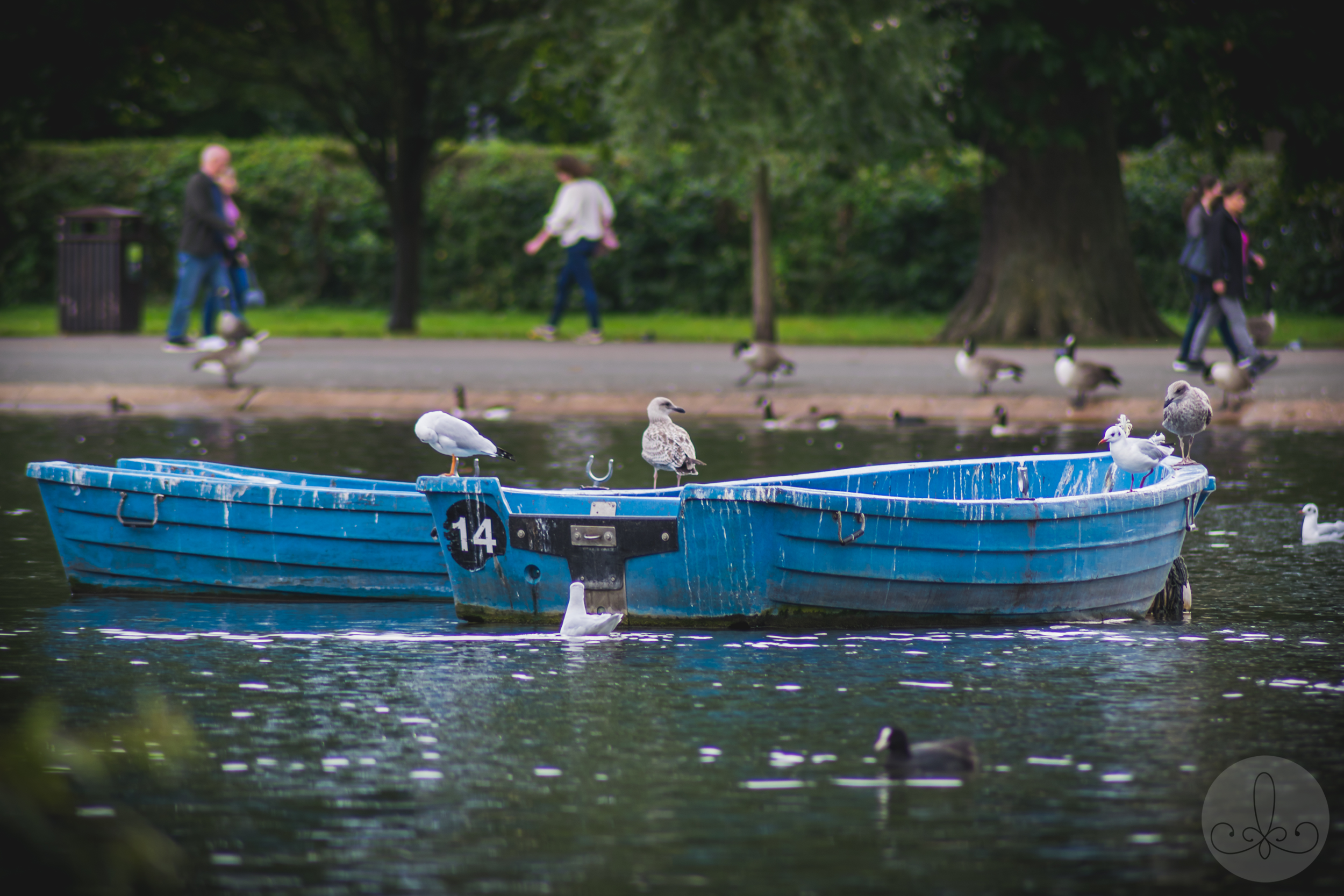 DSC_0146 - ARKPHotography.png